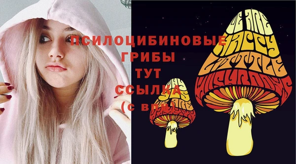 дмт Беломорск