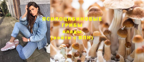 бутират Белокуриха